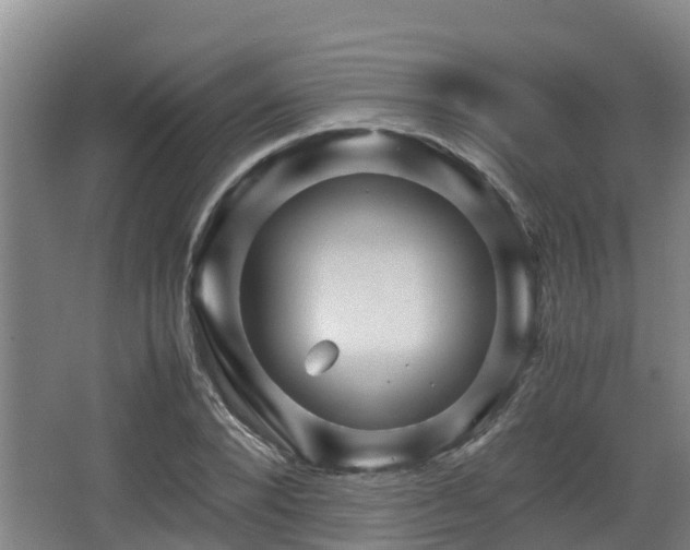 X0000062830880200601171417