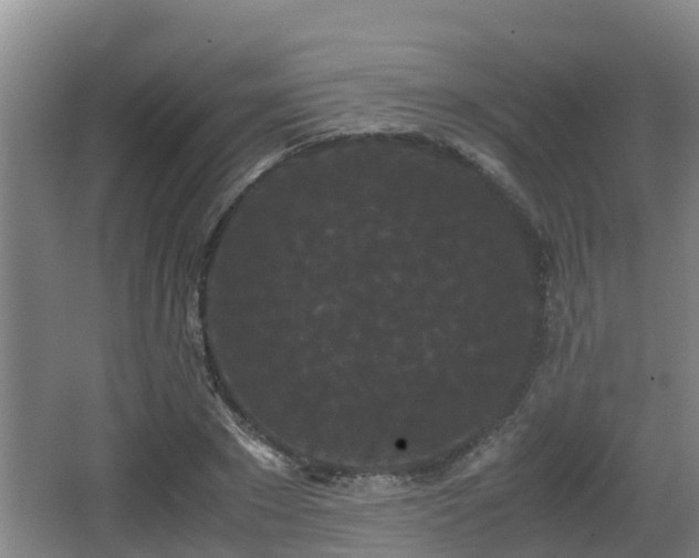 X0000062830881200601171416