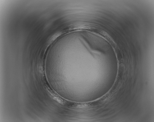 X0000062830882200601171416