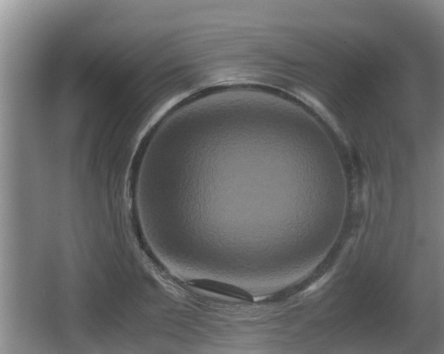 X0000062830885200601171416