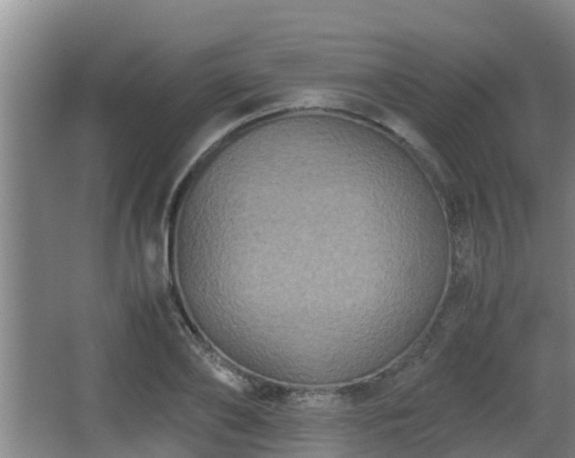 X0000062830886200601171416