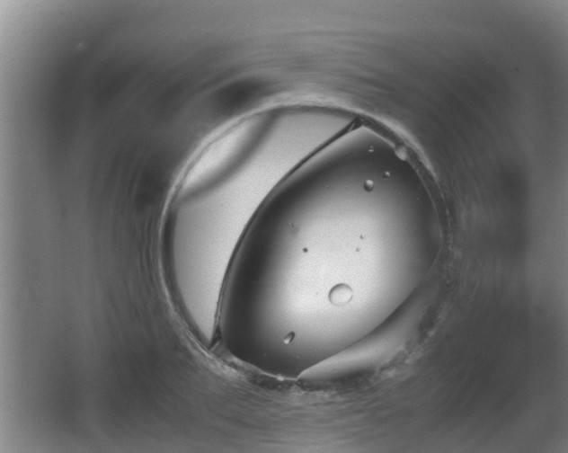 X0000062830887200601171416