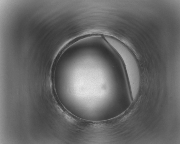 X0000062830888200601171416