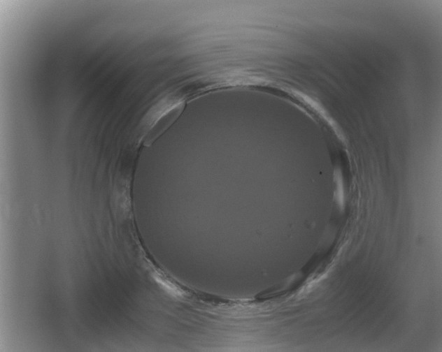 X0000062830889200601171416