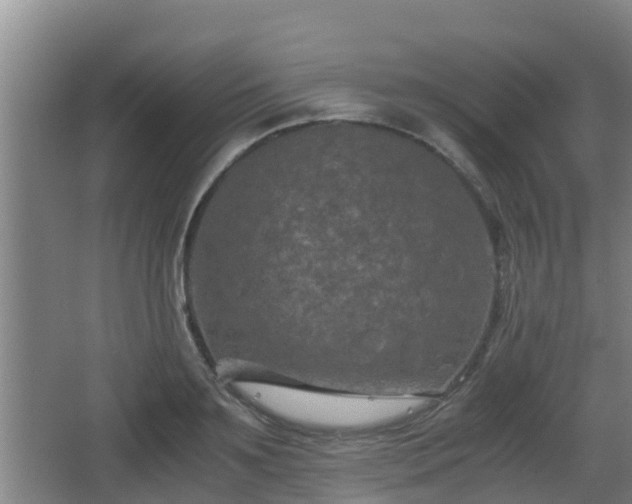 X0000062830891200601171416