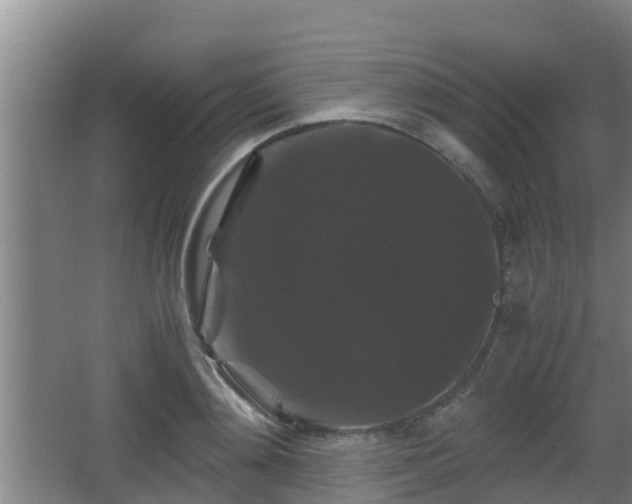 X0000062830892200601171416