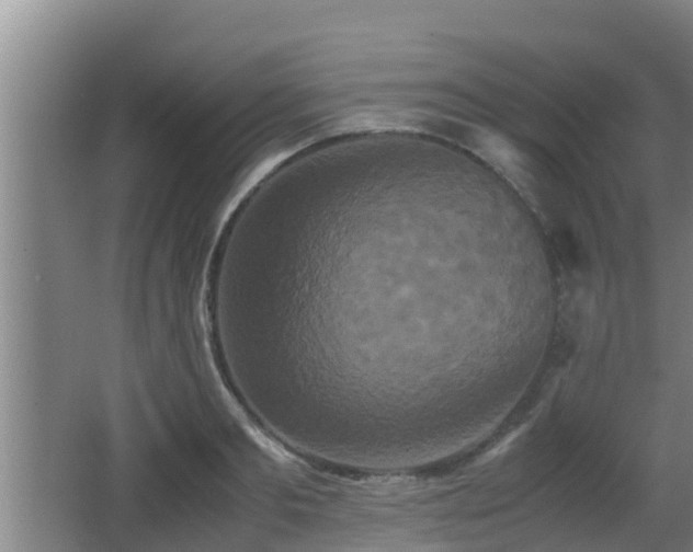 X0000062830893200601171416