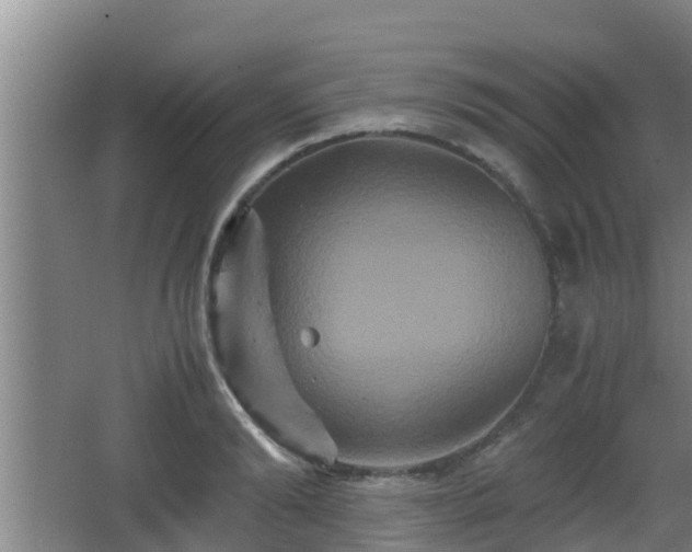 X0000062830894200601171416