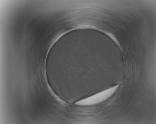 X0000062830895200601171416