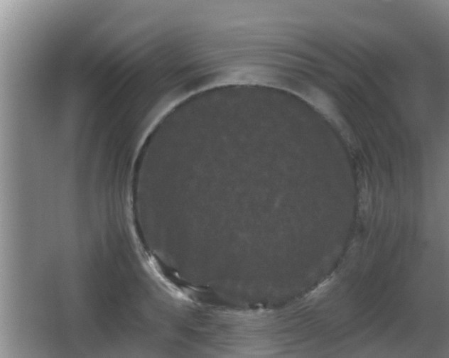 X0000062830896200601171416