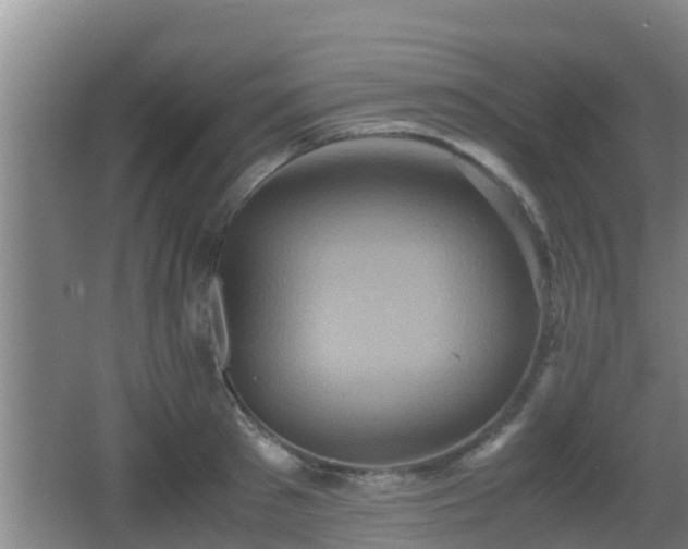 X0000062830897200601171416