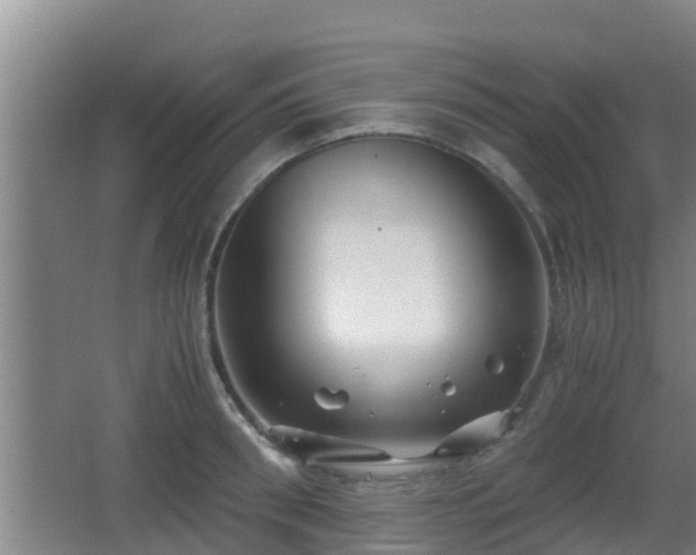 X0000062830898200601171416