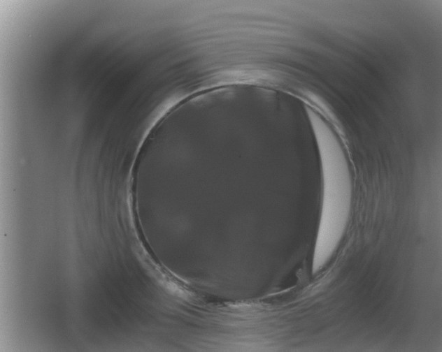 X0000062830899200601171416