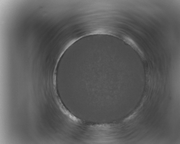 X0000062830900200601171416