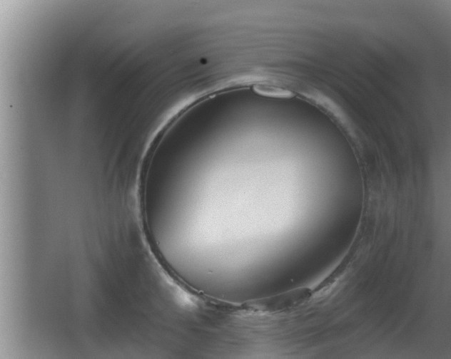 X0000062830902200601171416