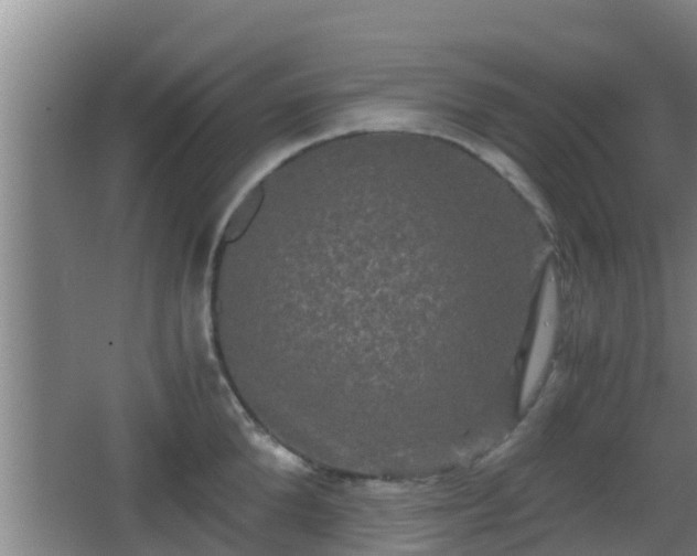 X0000062830904200601171416