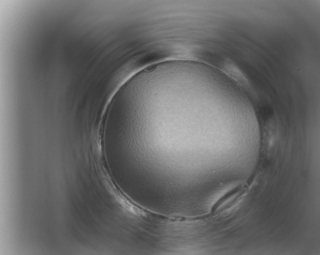 X0000062830908200601171416