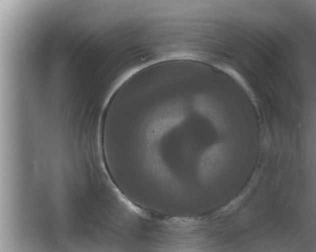 X0000062830910200601171416