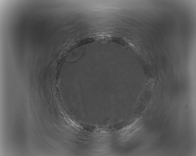 X0000062830913200601171415