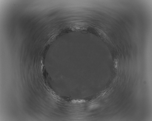 X0000062830915200601171415