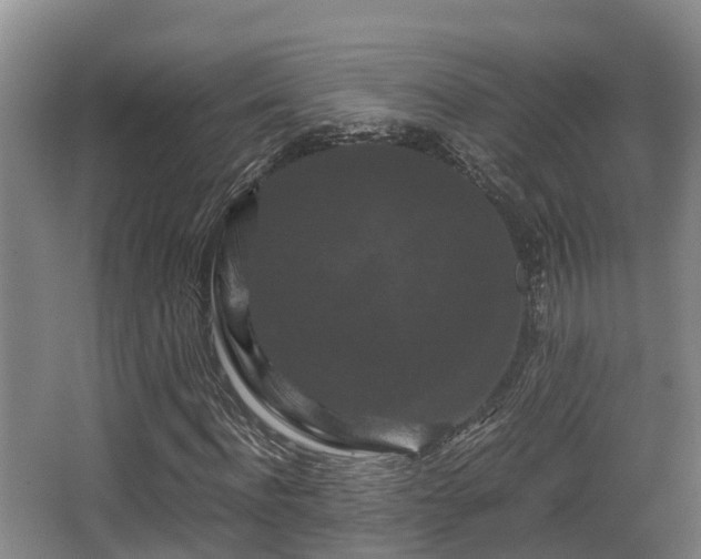 X0000062830916200601171415