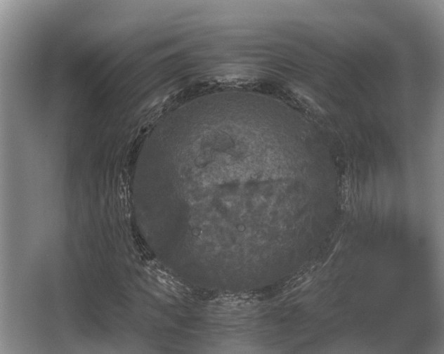 X0000062830917200601171415