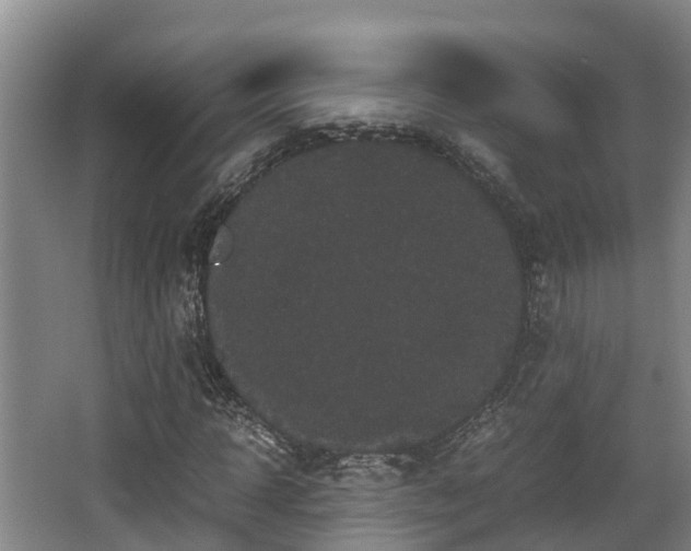 X0000062830918200601171415