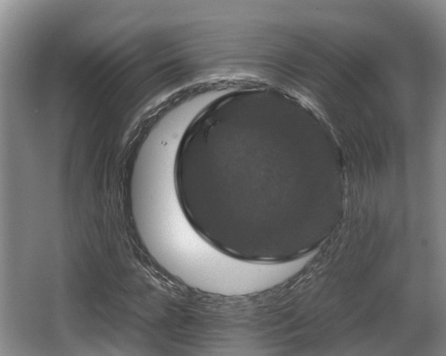 X0000062830920200601171415