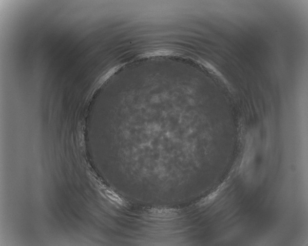 X0000062830921200601171415