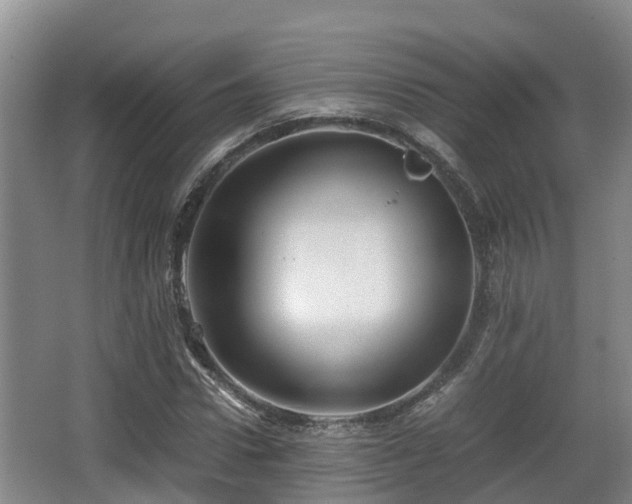 X0000062830922200601171415