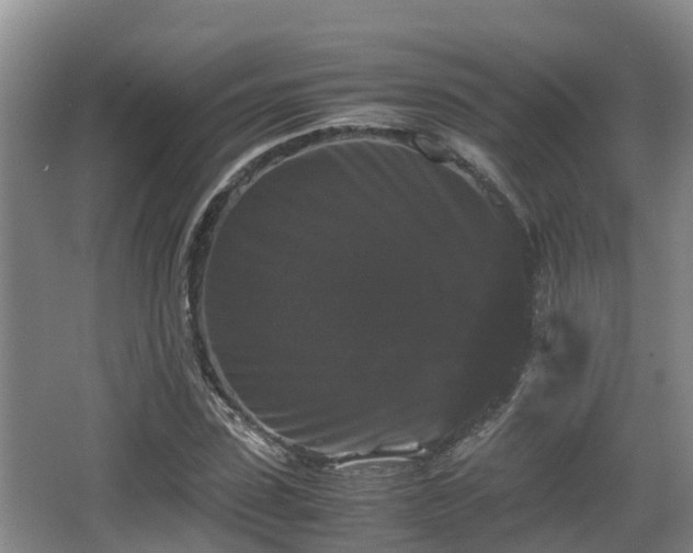 X0000062830923200601171415