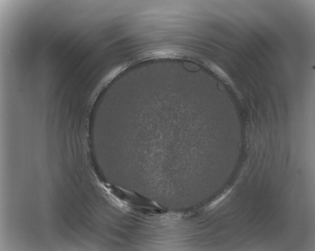 X0000062830930200601171415