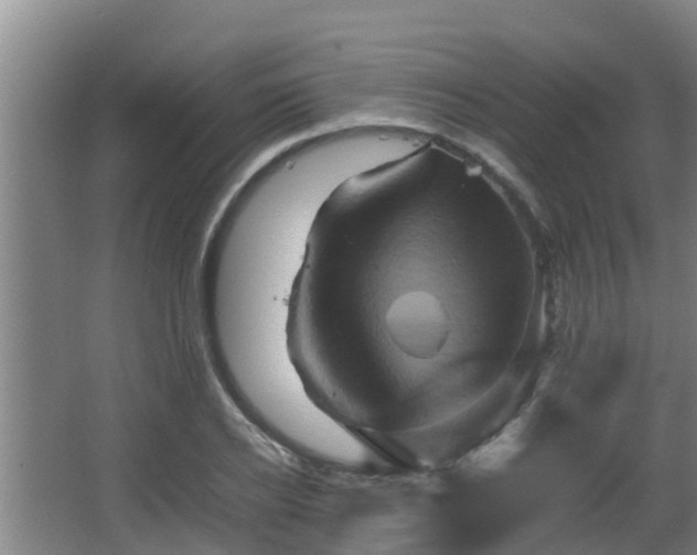 X0000062830934200601171416