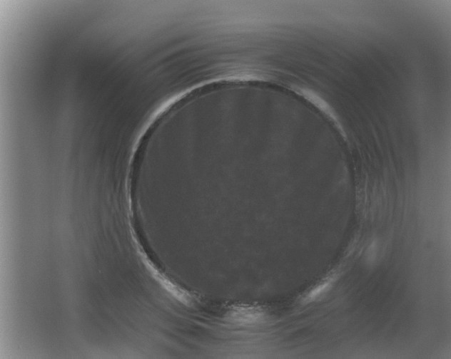 X0000062830935200601171416