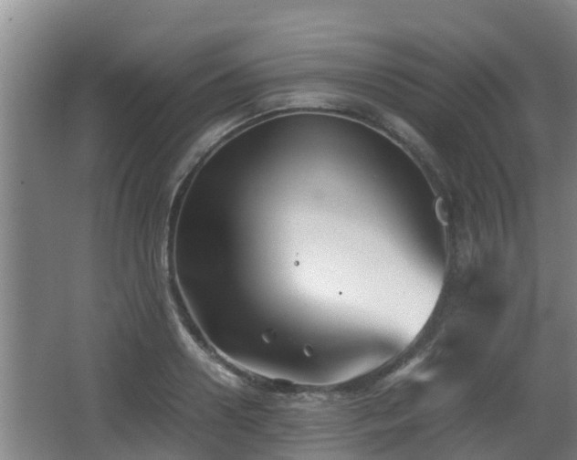 X0000062830938200601171416