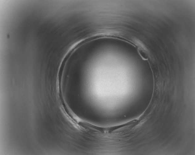 X0000062830940200601171416