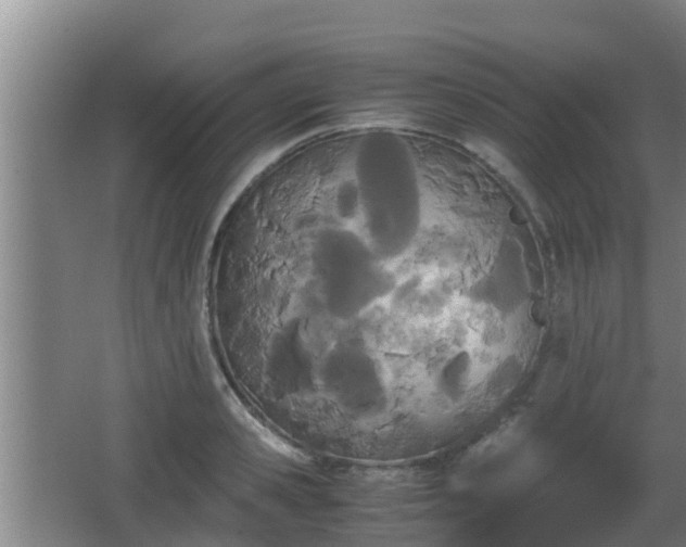 X0000062830941200601171416