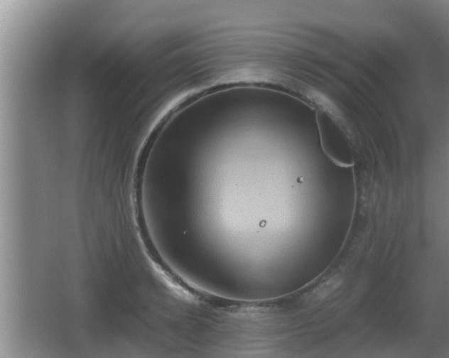 X0000062830942200601171416