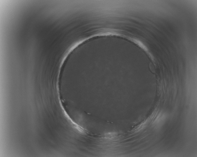 X0000062830943200601171416