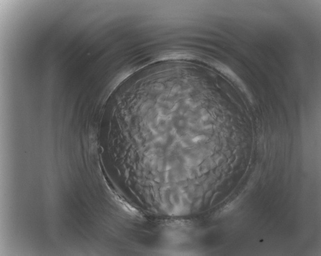 X0000062830945200601171416