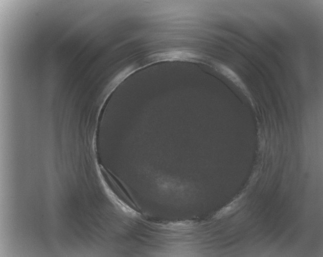 X0000062830946200601171416