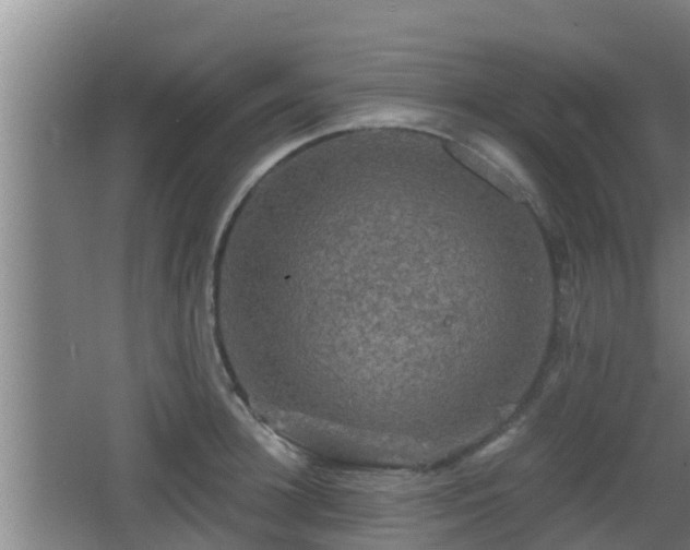 X0000062830948200601171416