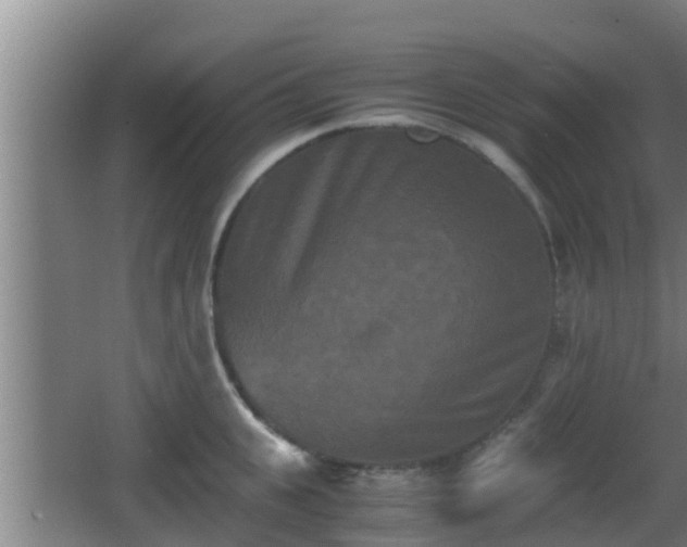 X0000062830951200601171416