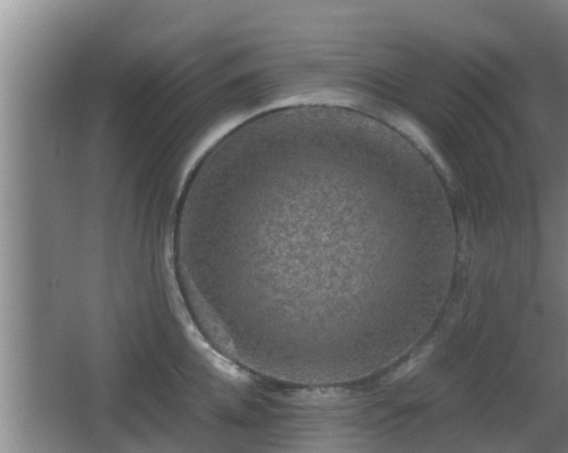 X0000062830952200601171416