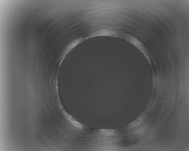 X0000062830954200601171416