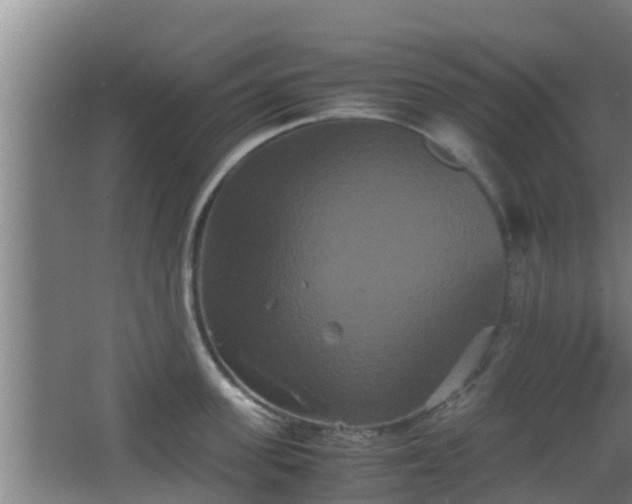 X0000062830955200601171416