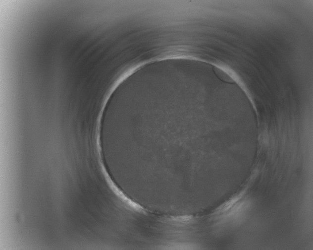 X0000062830957200601171416