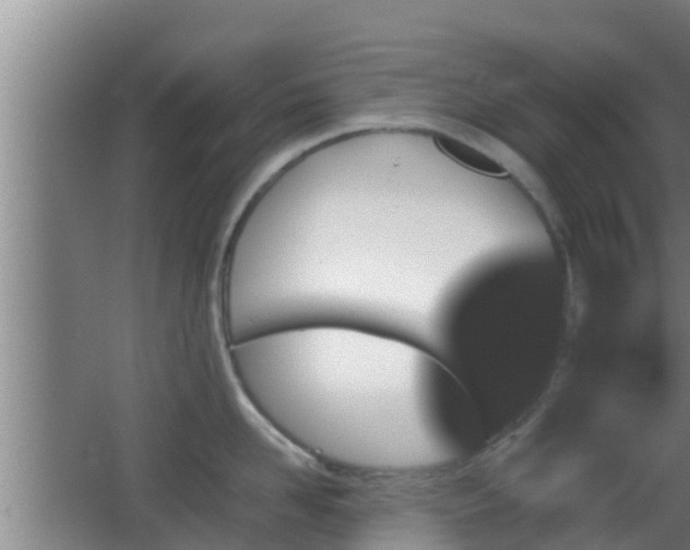 X0000062830958200601171416