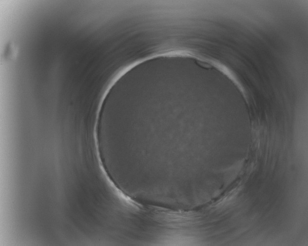 X0000062830959200601171416