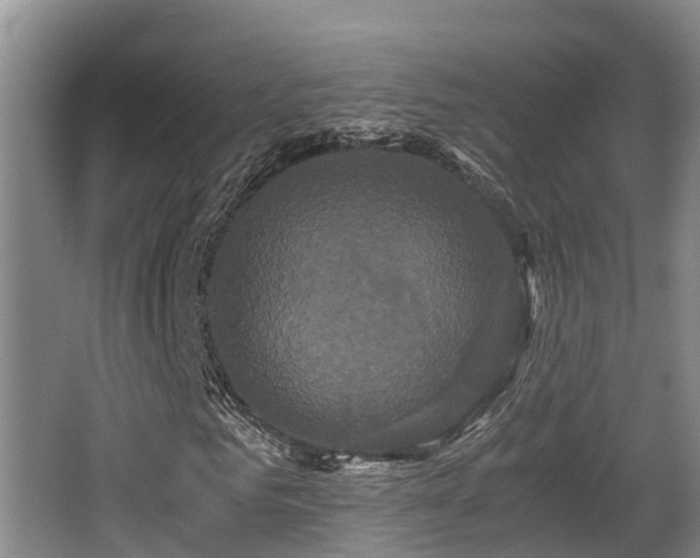 X0000062830961200601171415